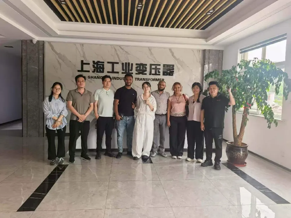 Üdvözöljük! Az etióp delegáció felkeresi a Shanghai Industrial Transformer Co., Ltd.-t transzformátorok és áramelosztó berendezések cseréje céljából